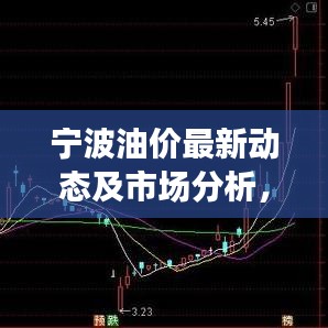 寧波油價最新動態及市場分析，今日關注焦點