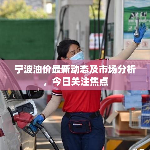 寧波油價最新動態及市場分析,今日關注焦點