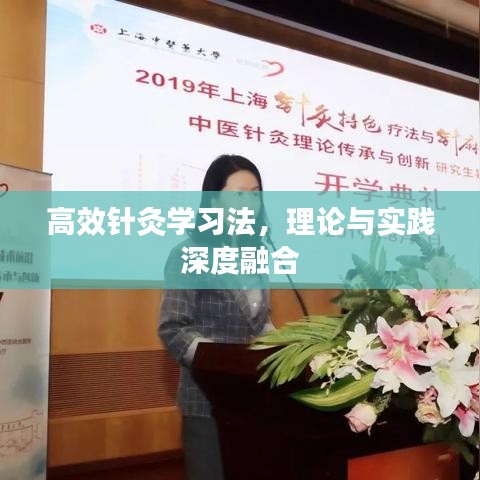 高效針灸學(xué)習(xí)法,理論與實踐深度融合