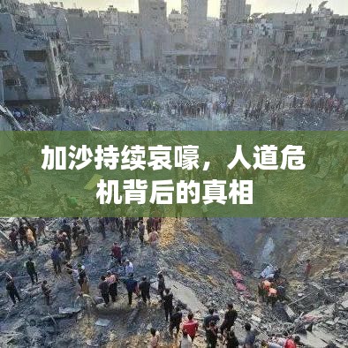 加沙持續(xù)哀嚎,人道危機(jī)背后的真相