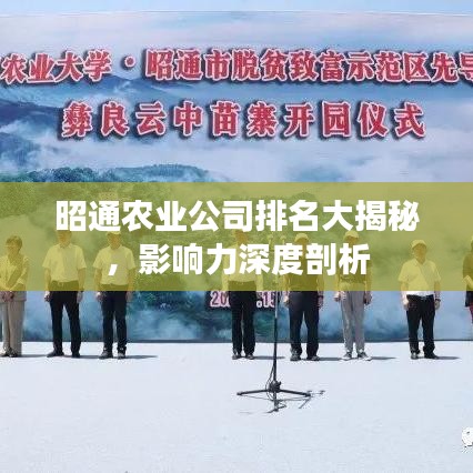 昭通農業公司排名大揭秘,影響力深度剖析