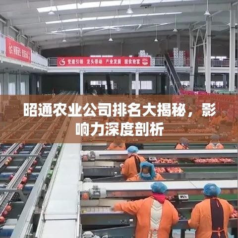 昭通農業公司排名大揭秘,影響力深度剖析