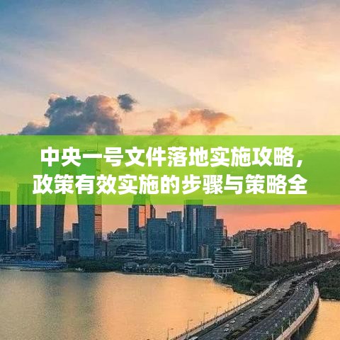 中央一號(hào)文件落地實(shí)施攻略,政策有效實(shí)施的步驟與策略全解析