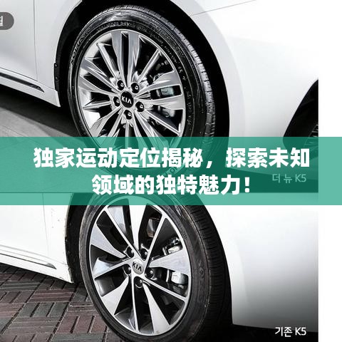 獨(dú)家運(yùn)動定位揭秘,探索未知領(lǐng)域的獨(dú)特魅力!