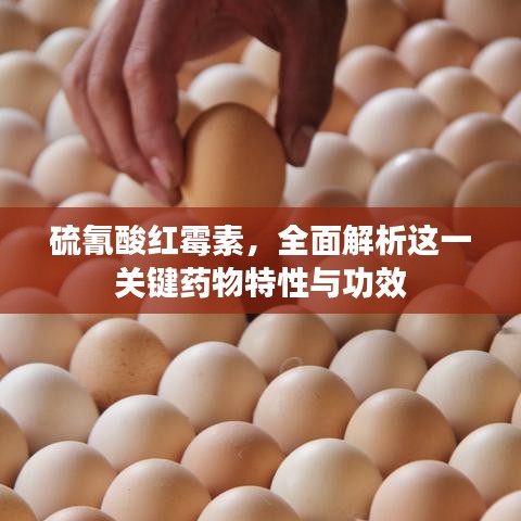 硫氰酸紅霉素,全面解析這一關(guān)鍵藥物特性與功效