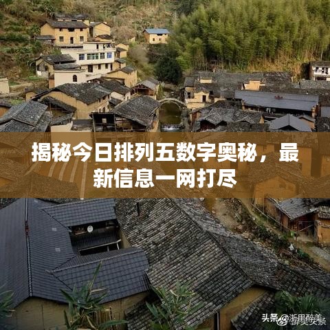 揭秘今日排列五數(shù)字奧秘,最新信息一網(wǎng)打盡