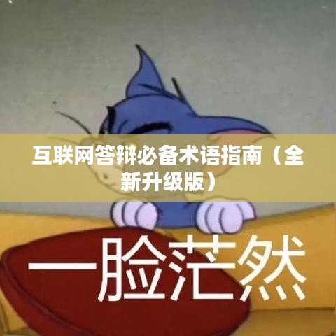 互聯(lián)網(wǎng)答辯必備術(shù)語指南(全新升級版)