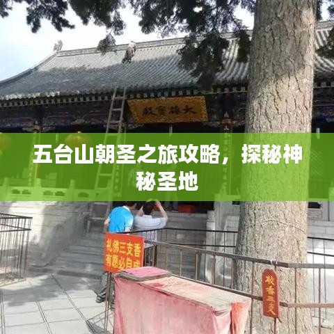 五臺山朝圣之旅攻略，探秘神秘圣地