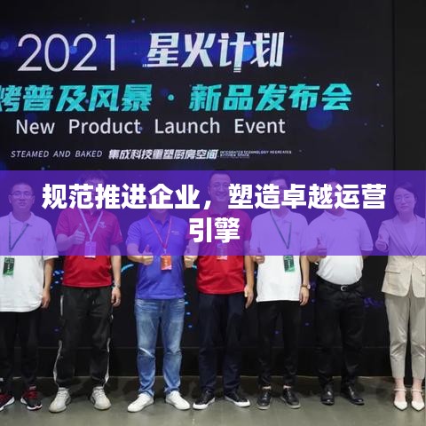 規(guī)范推進企業(yè),塑造卓越運營引擎