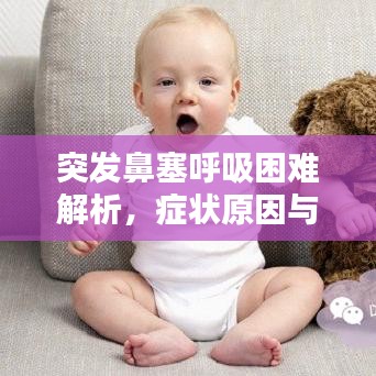 突發鼻塞呼吸困難解析,癥狀原因與應對方法