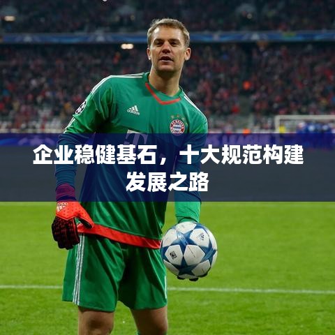 企業(yè)穩(wěn)健基石,十大規(guī)范構(gòu)建發(fā)展之路