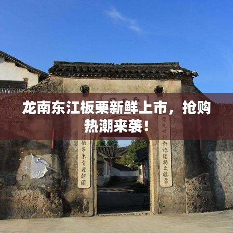 龍南東江板栗新鮮上市，搶購(gòu)熱潮來(lái)襲！