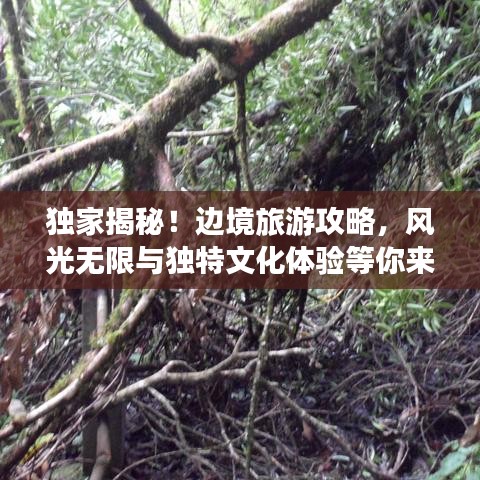 獨家揭秘!邊境旅游攻略,風光無限與獨特文化體驗等你來探秘!