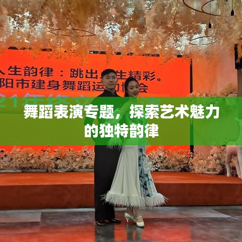 舞蹈表演專題,探索藝術(shù)魅力的獨(dú)特韻律