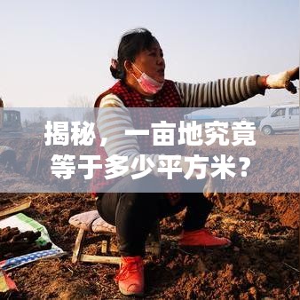 揭秘,一畝地究竟等于多少平方米?土地面積轉(zhuǎn)換全解析!