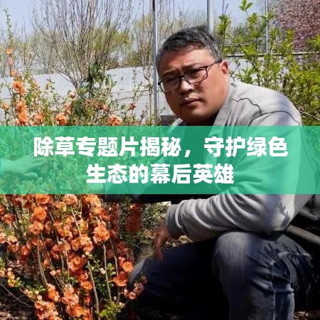除草專題片揭秘,守護綠色生態的幕后英雄