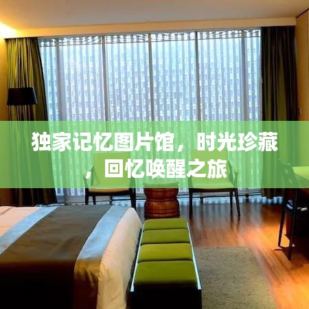獨(dú)家記憶圖片館,時(shí)光珍藏,回憶喚醒之旅