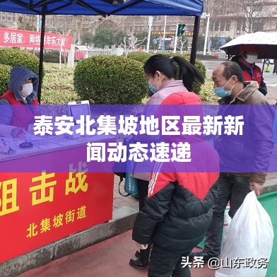 泰安北集坡地區最新新聞動態速遞