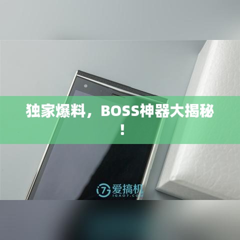 獨家爆料,BOSS神器大揭秘!