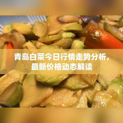 青島白菜今日行情走勢分析,最新價(jià)格動態(tài)解讀
