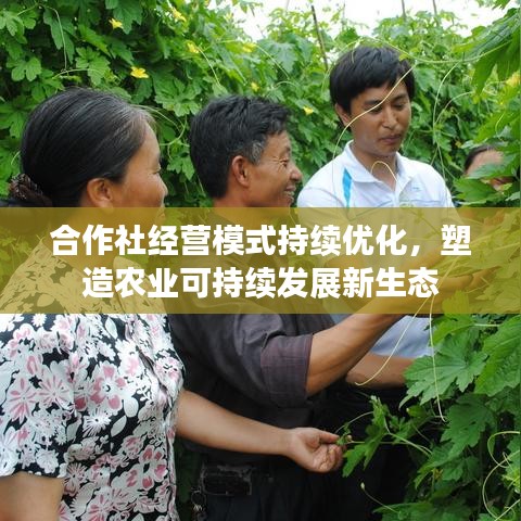 合作社經營模式持續優化,塑造農業可持續發展新生態