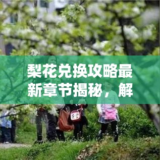 梨花兌換攻略最新章節揭秘,解鎖虛擬世界財富之門