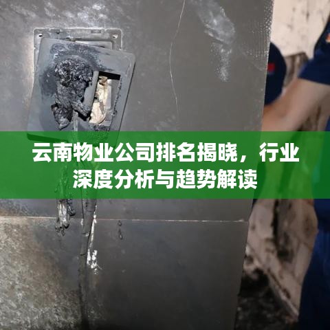 云南物業公司排名揭曉,行業深度分析與趨勢解讀