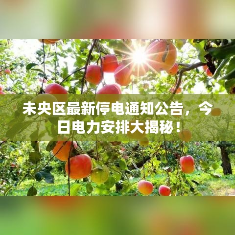 未央區(qū)最新停電通知公告,今日電力安排大揭秘!