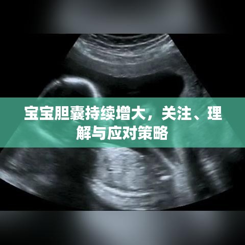 寶寶膽囊持續(xù)增大,關(guān)注、理解與應(yīng)對策略