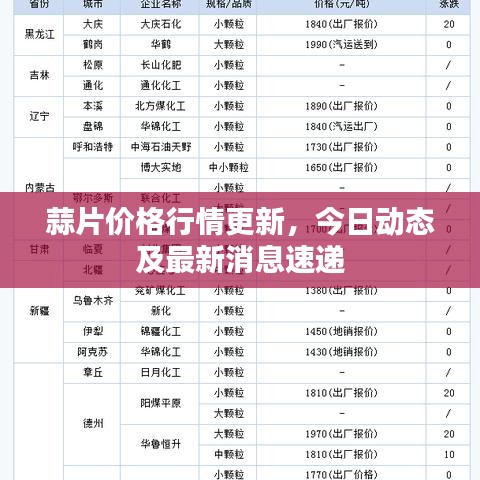 蒜片價格行情更新，今日動態及最新消息速遞