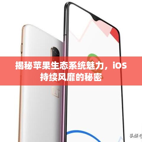 揭秘蘋果生態(tài)系統(tǒng)魅力,iOS持續(xù)風(fēng)靡的秘密