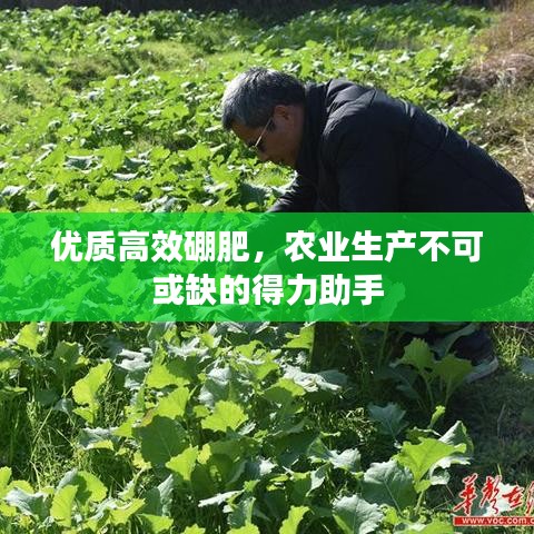 優(yōu)質(zhì)高效硼肥,農(nóng)業(yè)生產(chǎn)不可或缺的得力助手