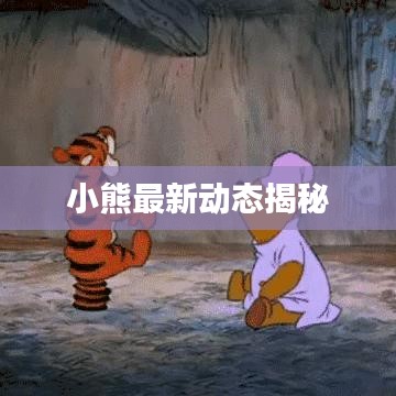 小熊最新動態揭秘