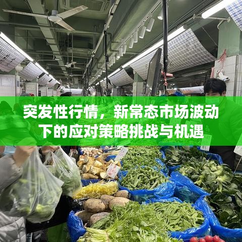 突發性行情,新常態市場波動下的應對策略挑戰與機遇