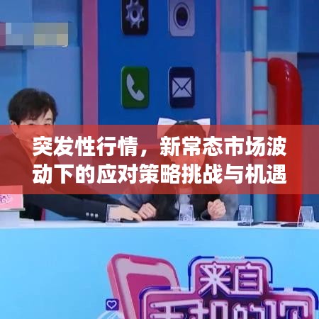 突發性行情,新常態市場波動下的應對策略挑戰與機遇