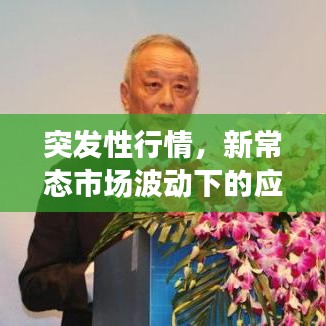 突發性行情,新常態市場波動下的應對策略挑戰與機遇