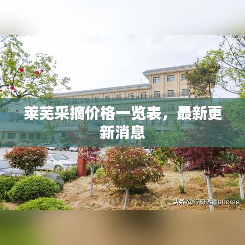 萊蕪采摘價格一覽表，最新更新消息