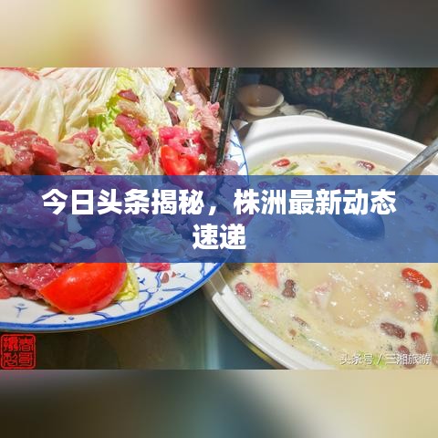 今日頭條揭秘,株洲最新動態速遞