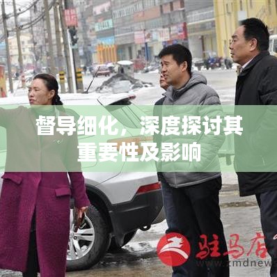督導(dǎo)細(xì)化，深度探討其重要性及影響
