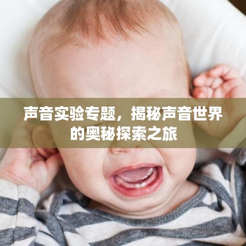 聲音實驗專題,揭秘聲音世界的奧秘探索之旅