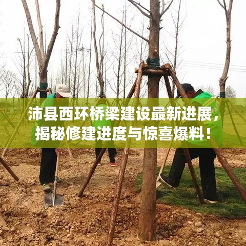 沛縣西環橋梁建設最新進展,揭秘修建進度與驚喜爆料!