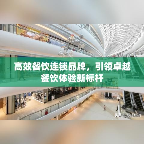 高效餐飲連鎖品牌,引領卓越餐飲體驗新標桿