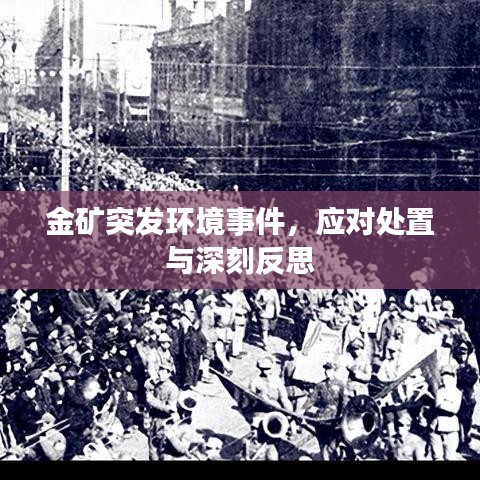 金礦突發環境事件,應對處置與深刻反思
