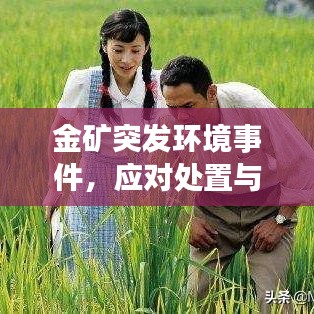 金礦突發環境事件,應對處置與深刻反思