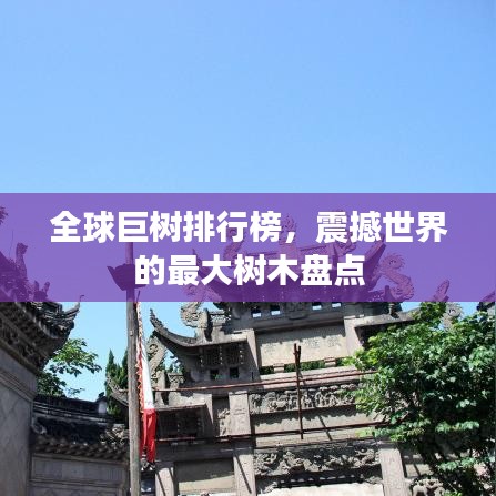 全球巨樹排行榜,震撼世界的最大樹木盤點(diǎn)
