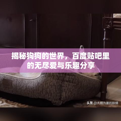 口若懸河 第2頁