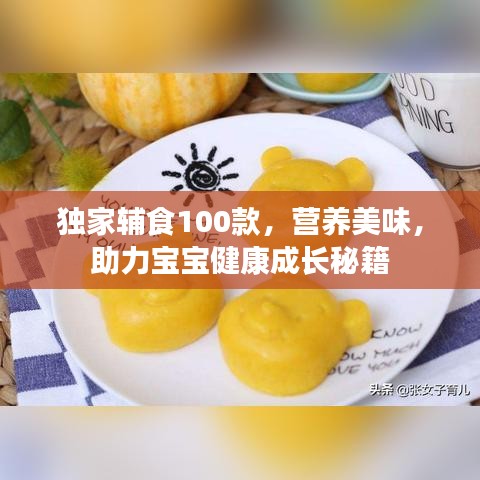 獨家輔食100款,營養(yǎng)美味,助力寶寶健康成長秘籍