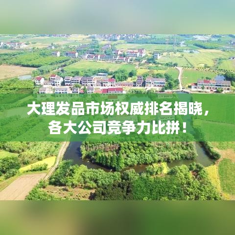 大理發品市場權威排名揭曉,各大公司競爭力比拼!