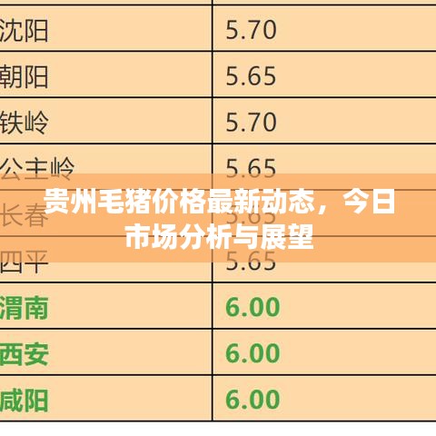 貴州毛豬價格最新動態(tài),今日市場分析與展望