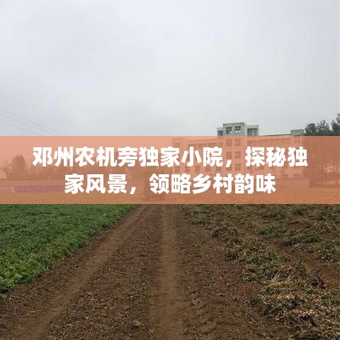 鄧州農(nóng)機旁獨家小院,探秘獨家風(fēng)景,領(lǐng)略鄉(xiāng)村韻味